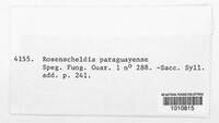 Rosenscheldia paraguaya image